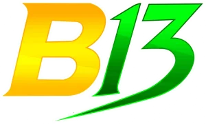 b13